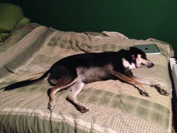 And where am I supposed to sleep?