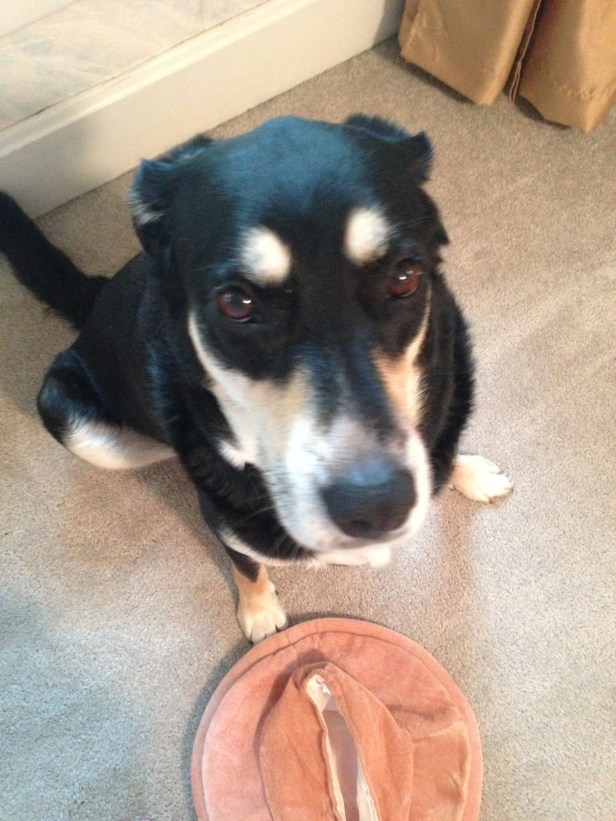 A little behind-the-scenes look at a Choppy photo shoot. Here she is not wearing a pizza hat. 