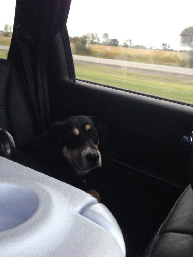 Look at that face! You know you would take pictures of that, too.