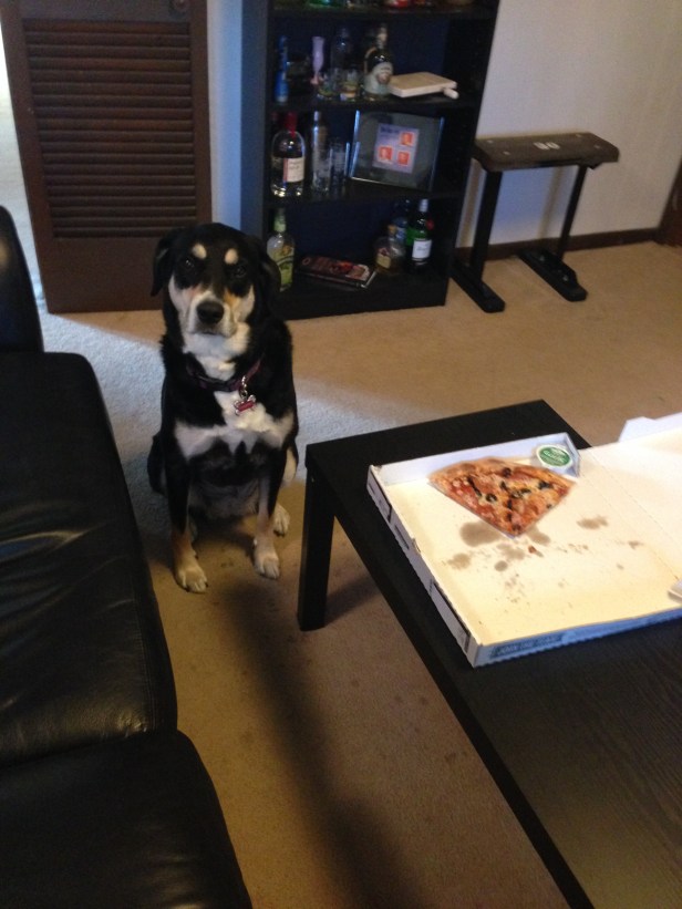 This will not end well.