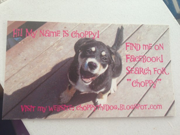 As you can see, I'm still using the same picture on Choppy's Facebook.