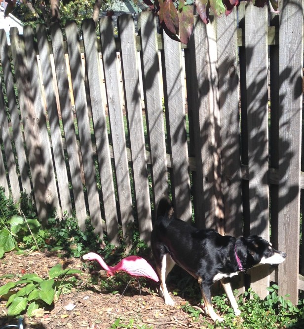 Something tells me this situation is not going to be the most favorite change in our lives this year.