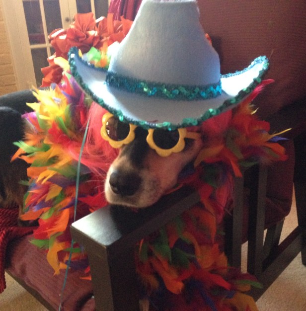 Wear Something Gaudy Choppy