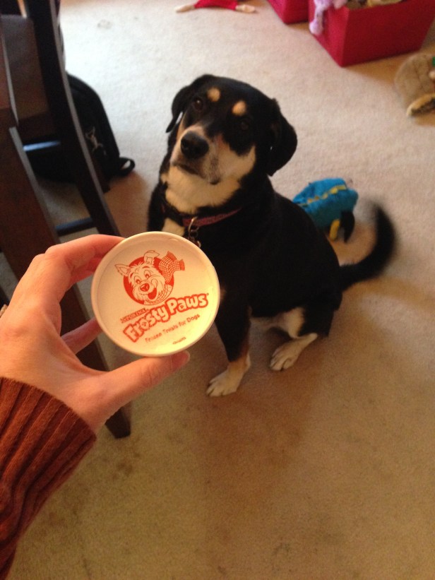 In case you're wondering, the blurry tail of happiness should give away how excited Choppy is over this treat (especially because I gave it to her this morning, when it's usually a night treat).