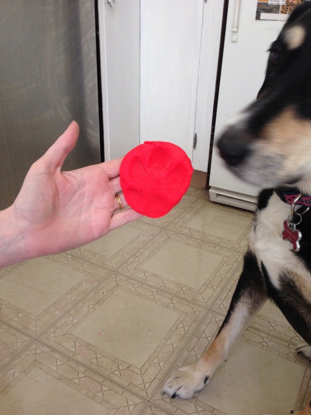 Choppy was not the biggest Play-Doh fan (despite it being edible, as I am pretty sure every person who grew up in the US over the last 40 years is well aware).