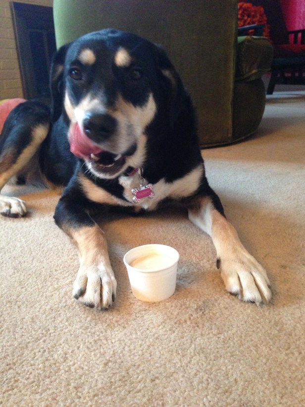 Who wouldn't go to a little trouble to make a creature this happy?