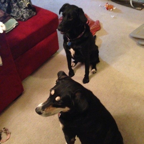 ...she got to spend it with her cousin and bestie, Izzy!