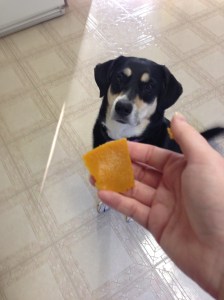 Will she like it? Click on the link to see the video and find out (hint: look at her tail - I think it gives her away).