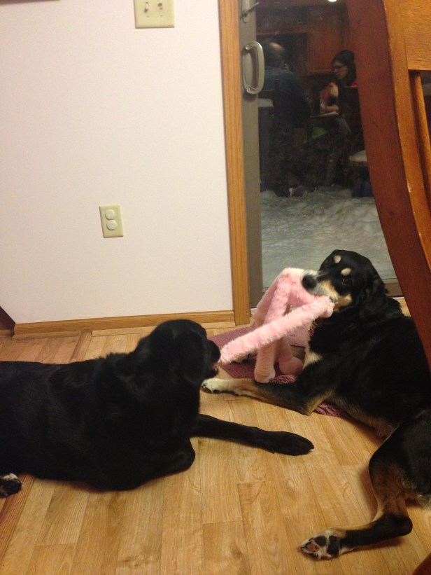 Sometimes, you've just played too much and eaten too much to get up and play some more. At which point, you can play on the ground.