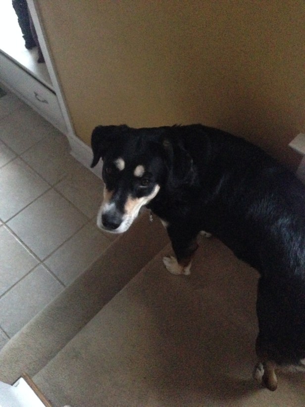 Just chilling at the house - hope everyone has an excellent weekend!