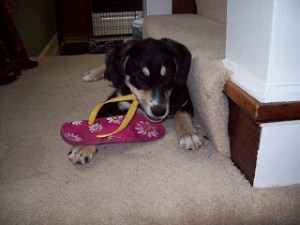 The actions depicted in this picture are far more adorable now, with the passage of years, than they were at the time.