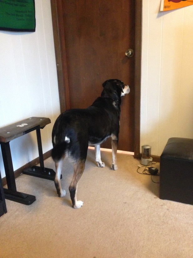 What is going on in there?