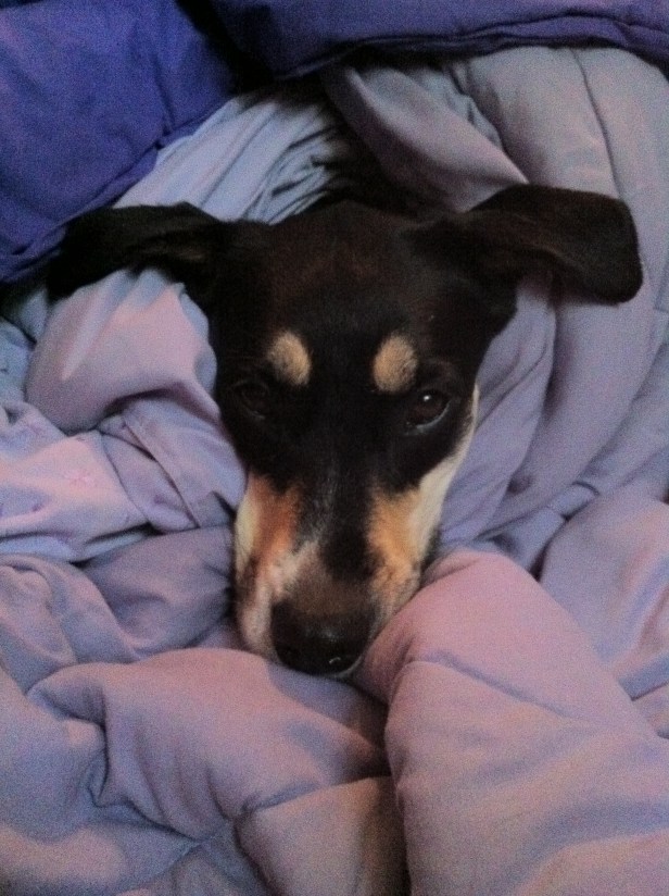 I wish I had something more to say than this is a cute picture, but I don't.