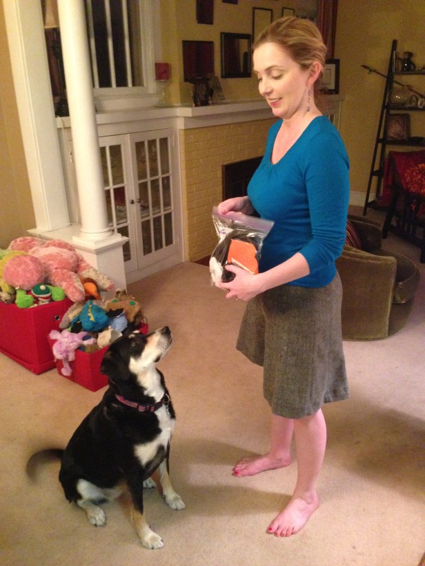 Look at that wagging tail as I get out her costume!