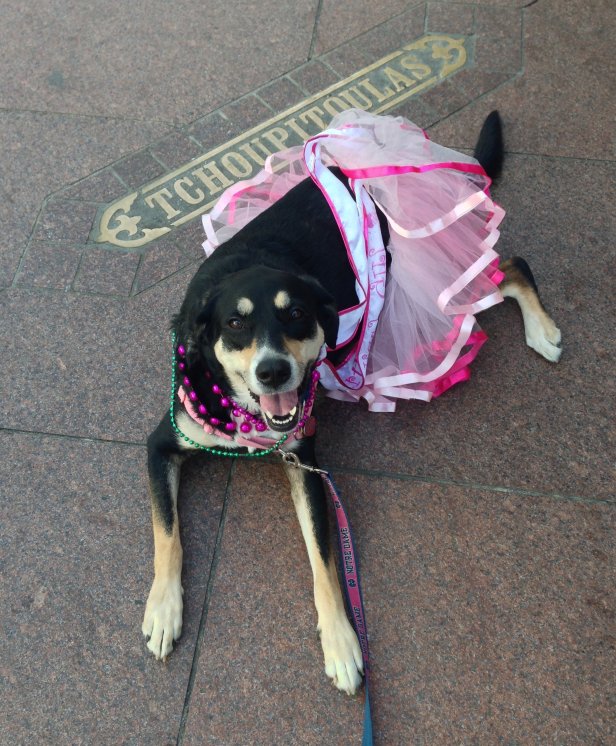 To be clear, I did not make this word up.