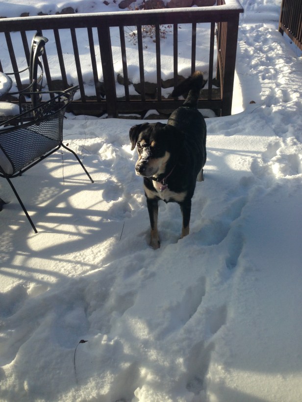 Choppy somehow got very snowy, despite the lack of falling snow.