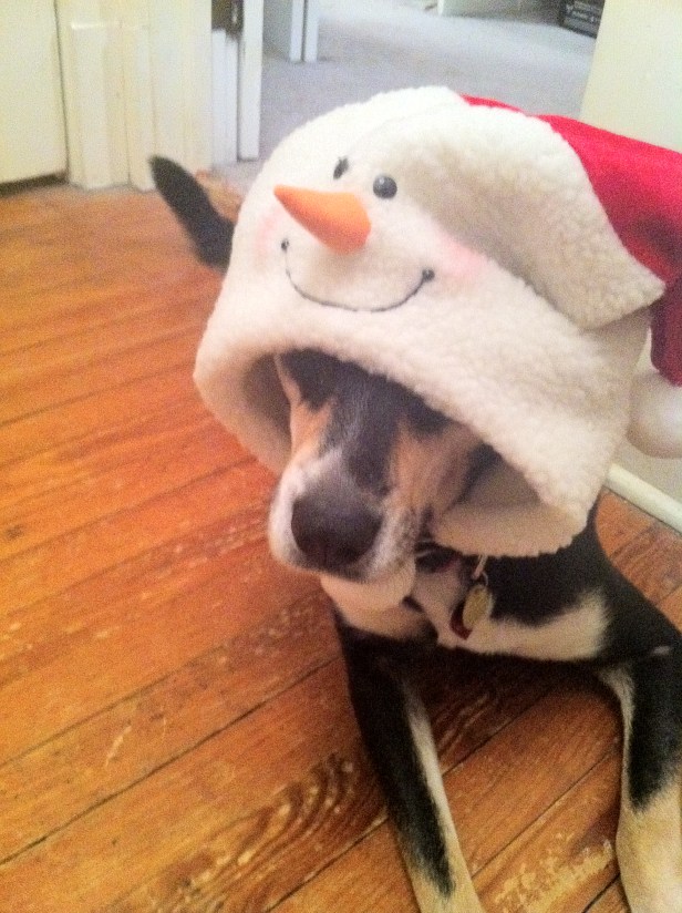 Choppy the Snowman Was a less than happy soul With a snowman cap and a cute black nose And two eyes covered by clothes