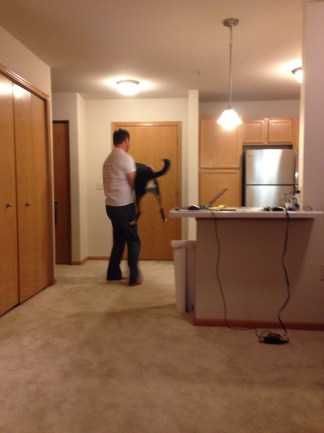 Then again, perhaps she has adopted that spot so as not to get picked up by Paul and carried around the apartment.