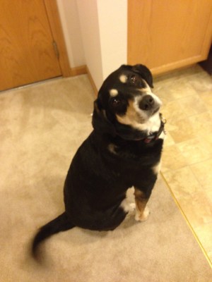 Obviously, I brought Choppy.