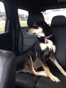 I have no idea where we were going in this picture.