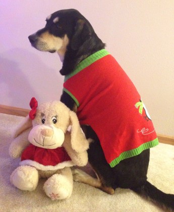 Just because you have torn a hole out near a toy's eye doesn't mean you don't love the toy (at least I suspect this is Choppy's reasoning).