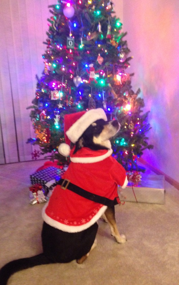 Merry Christmas to everyone! Have a wonderful day tomorrow!