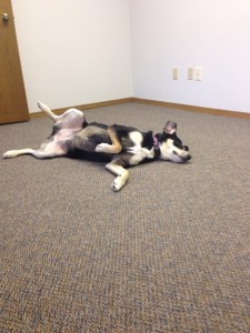 Definitely at home. And likely going to be upset when I actually get my furniture delivered.