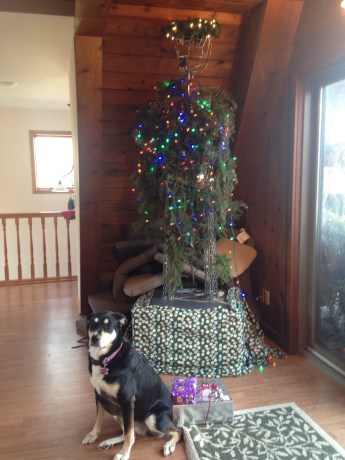 This is Choppy with my parents' robot. Oh, and presents.