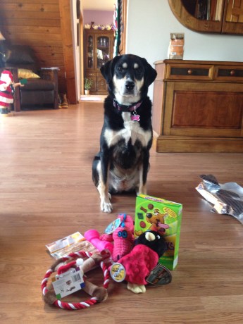 Well, treats she got to eat after being forced to sit for yet another picture.