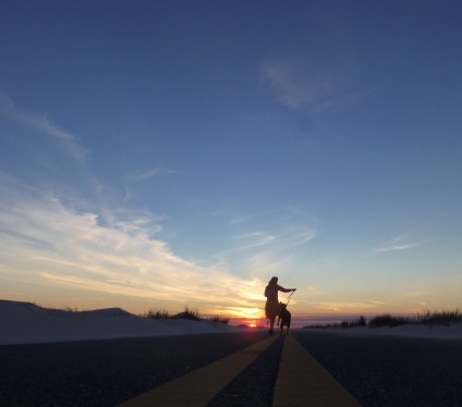 ...And here's what it looks like when it doesn't quite do so. Then again, I've grown to like this picture as much (if not more) than the good one. It's also the Facebook page header (things you may never have noticed!).