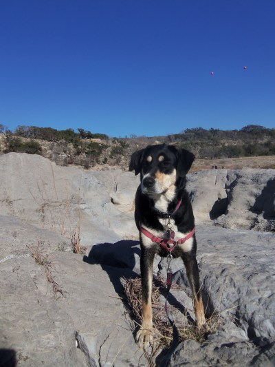 I'm pretty sure Choppy enjoyed the hike to the waterfall much more than any of her hikes up mountains.