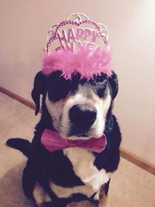 Choppy - Central Time