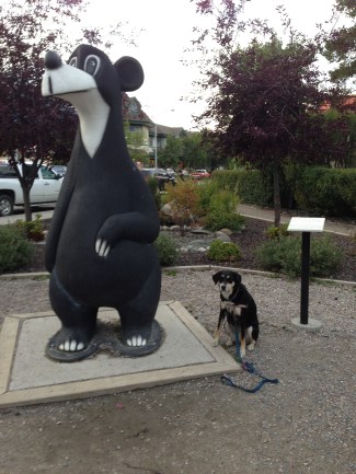 This is Jasper the Bear. He is apparently the mascot of Jasper. I just like any statue of a large animal, cartoon or not.