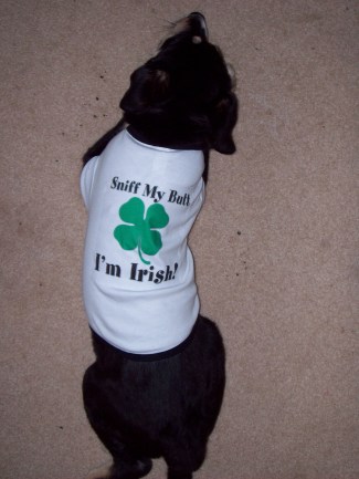 Even on her first St. Patrick's Day, I made her wear an insulting t-shirt.