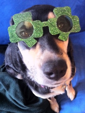 Sometimes, the simple outfit is as humiliating as the gaudy one.