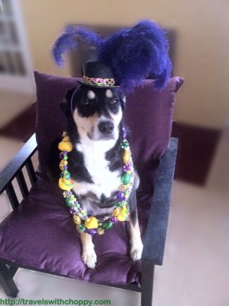 That hat belongs to me. And yes, it does get worn outside the house.