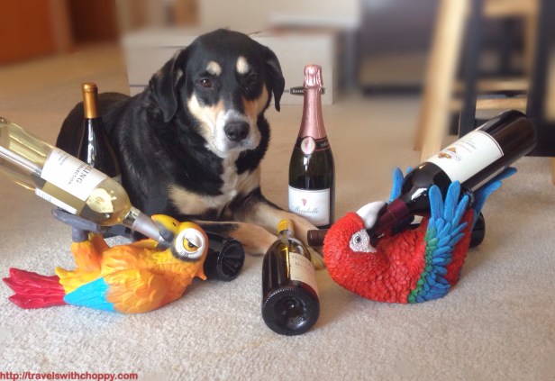 It's five o'clock somewhere, right?