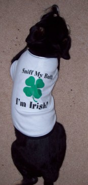 ...and here's the t-shirt itself.