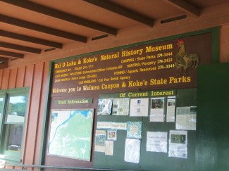 Car issues? Not our problem.