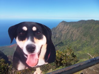"Choppy" is happily oblivious to the potential nudists in the valley below.