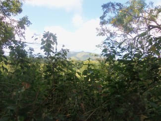 The views were excellent. Then again, when it's February and you live in Wisconsin, we could have been looking at a garbage dump in good weather and it would have been an excellent view.