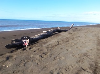 Of course, if you're in Hawaii, you need to go to the beach. 
