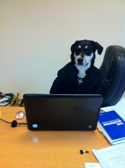 Why would I want to think outside of the box? Sarah keeps the treats in there.