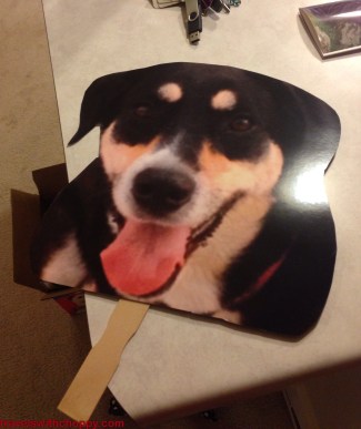 Not to worry - Choppy may not have been able to travel to Hawaii this time, but I made sure she was there in more than spirit...