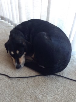 Choppy: attempting to stay warm. I am totally with her on that one.