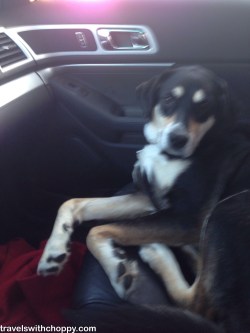 She even looks upset when I wake her up.