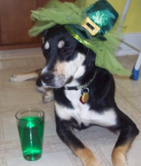 St. Patrick's Day Chop