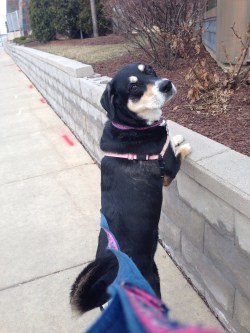 Standing on the Wall