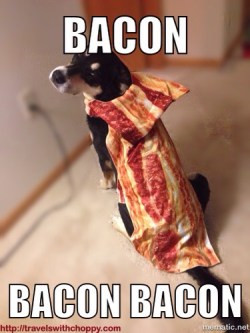 Bacon
