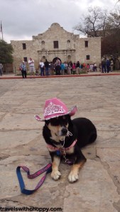 When I think the Alamo, I think pink cowboy hats.